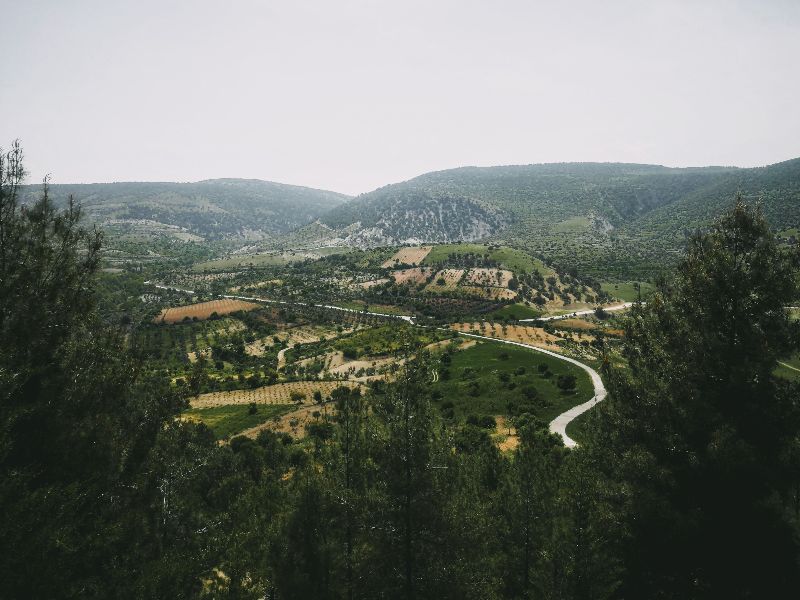 cedar valley