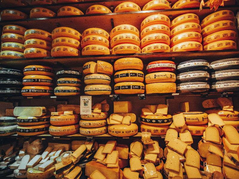 Netherlands dutch cheese