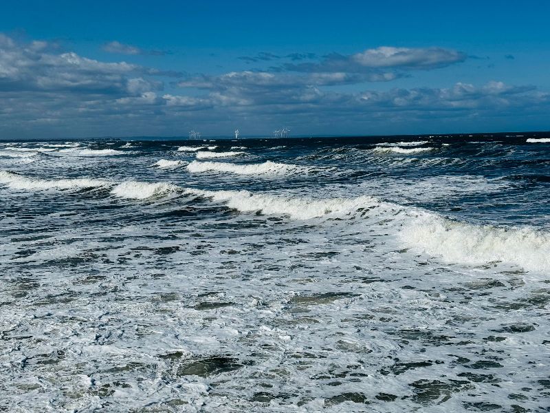 Netherlands wadden sea